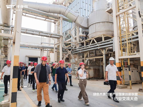 綠色溯源 品質(zhì)引領(lǐng)丨走進(jìn)千年舟工廠,領(lǐng)略智能制造硬核實(shí)力
